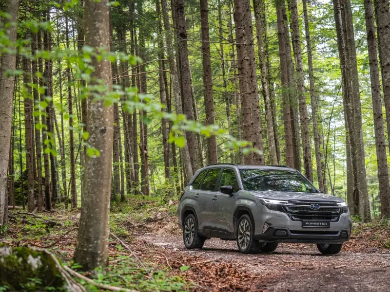 All-wheel drive cars: what they are &amp; how they keep you safe
